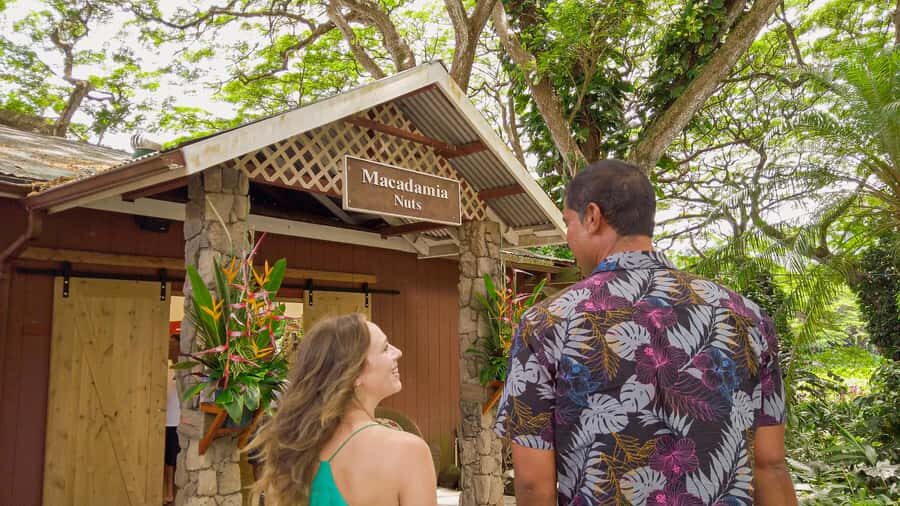 Honolulu: Ultimate Pearl Harbor and Circle Island Tour - The Tour’s Short Stop Strategy: Mokoliʻi and Quick Photo Windows