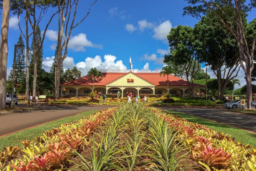 Oahu: Ultimate Pearl Harbor and Circle Island Tour - Key Things I’d Book This For