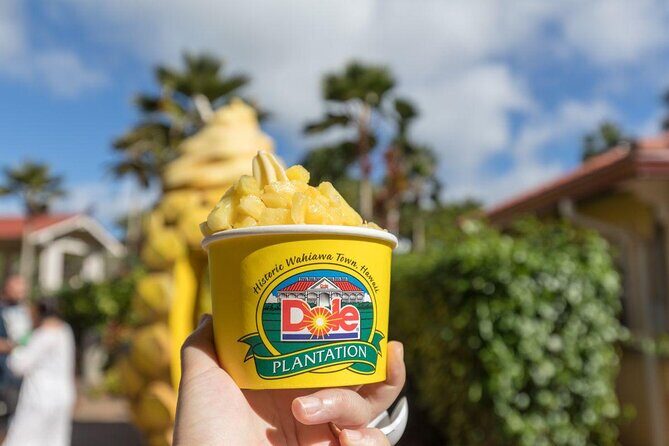 Pearl Harbor, Dole Plantation, Polynesian Center from Waikiki - A One-Day Loop That Actually Makes Sense