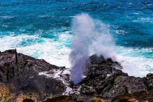 Private Pearl Harbor and Scenic Oahu Tour - North Shore route: Dole Plantation, Haleiwa, shrimp stops, and Kualoa country